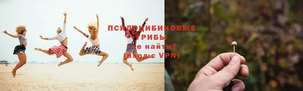 эйфоретик Баксан
