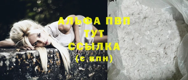 эйфоретик Баксан