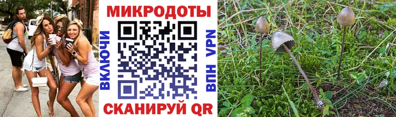 Галлюциногенные грибы прущие грибы  Реж 